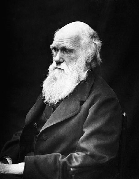 Black and white image of Charles Darwin, who is an old man with a beard