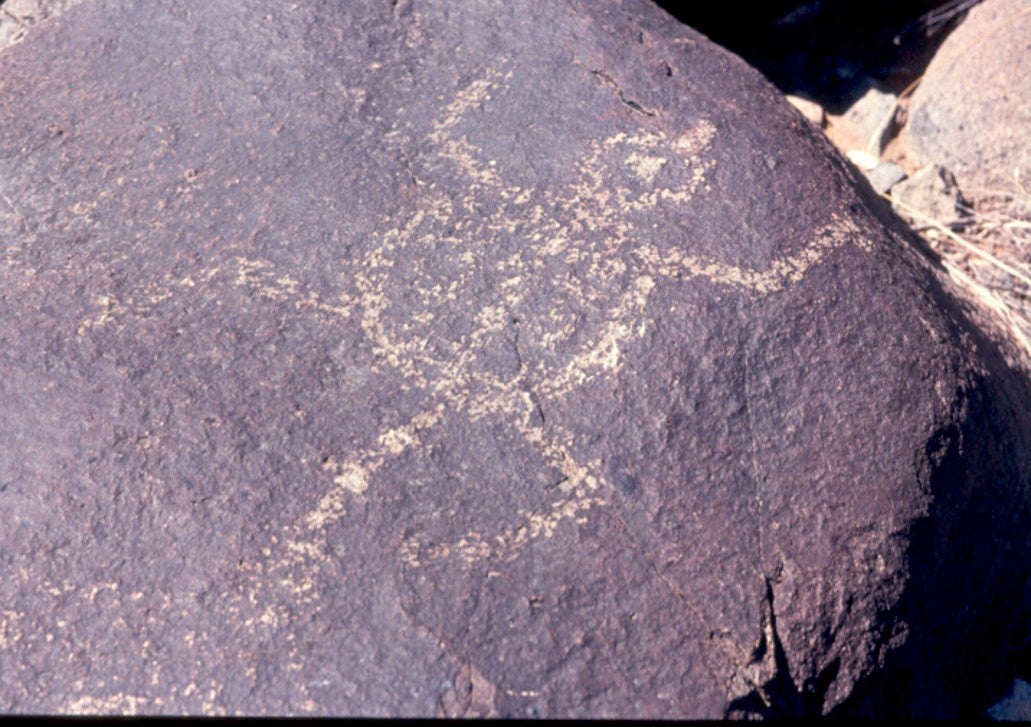 Petrglyph of a lizard