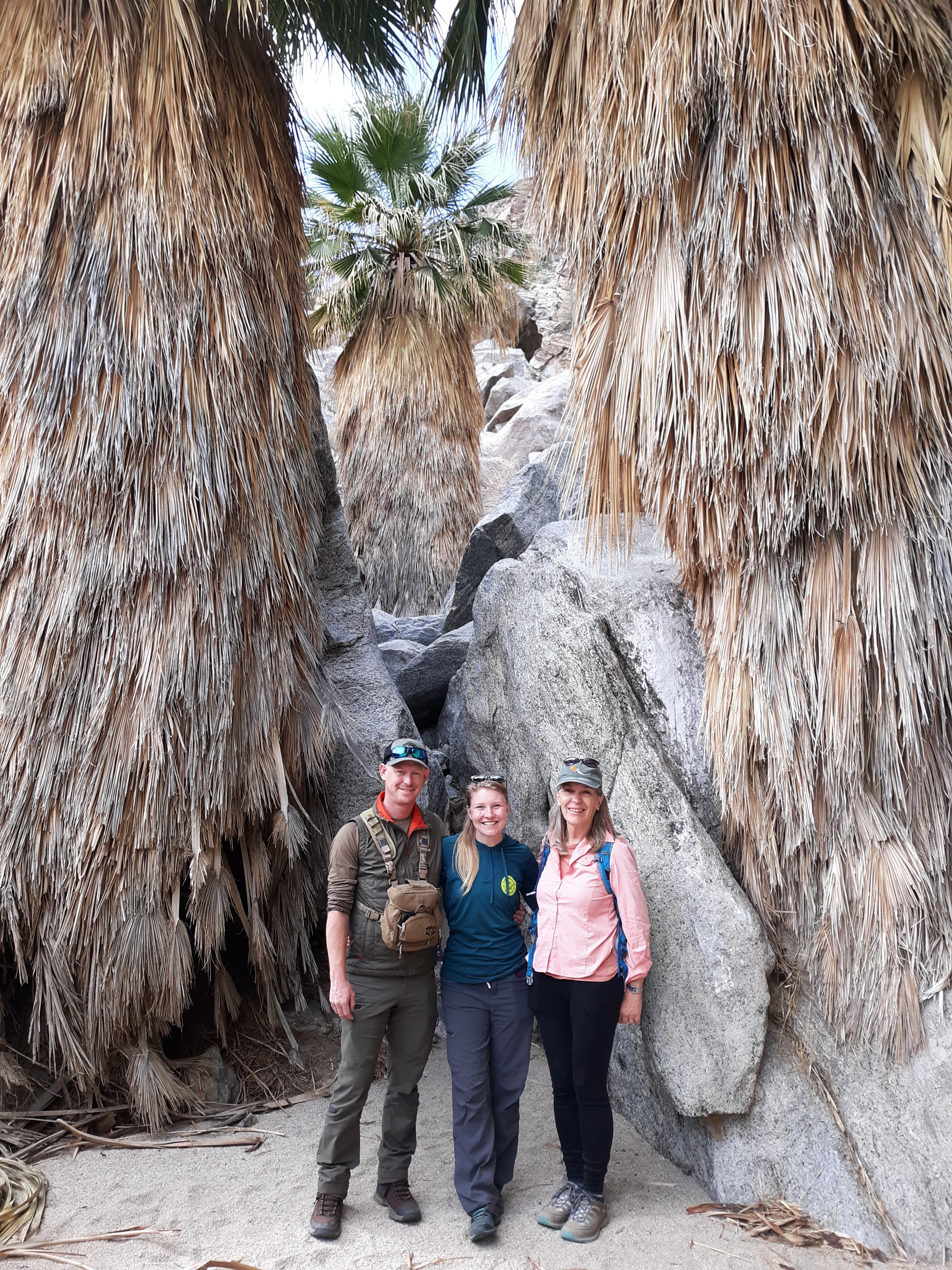 A group of naturalists in front of palm trees