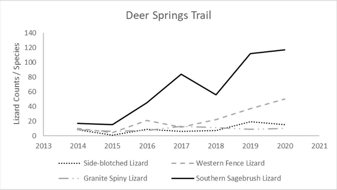 Graph of the lizard count on the Deer Springs Trail 