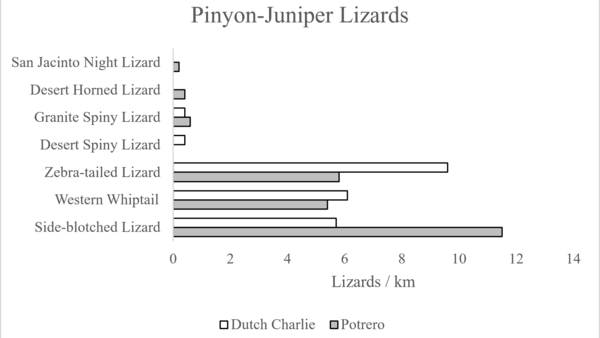 Graphic of pinyon-juniper lizards