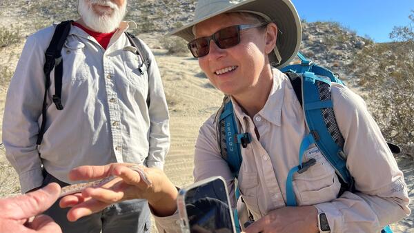 Two naturalists looking at a snake in someone's hand