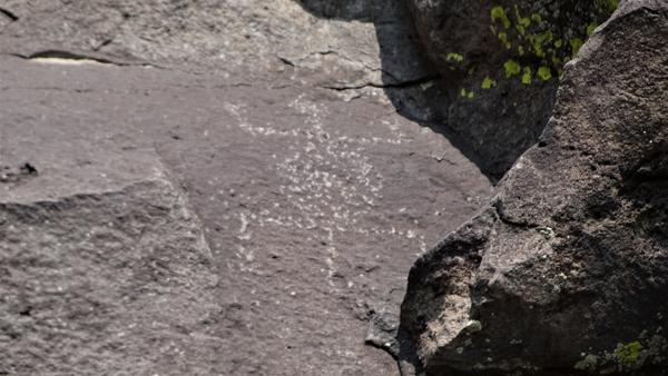 Petroglyph of a lizard on a grey rock 