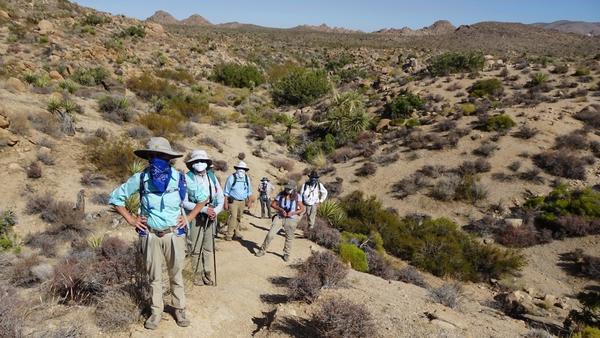 A group of masked hikers standing on the trail