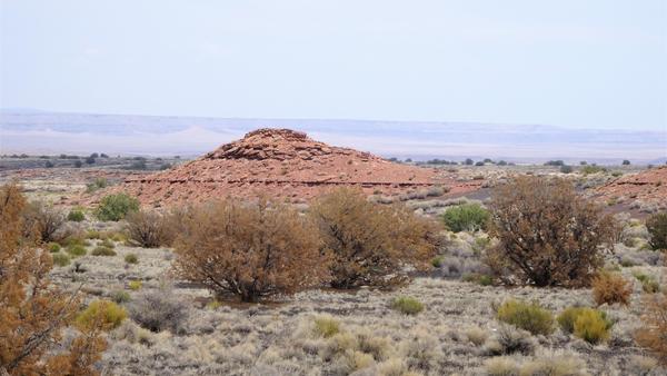 Arid desert landscape