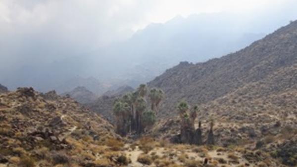 A desertscape that is foggy with a light rain