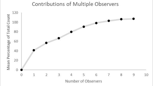 A graph of lizards spotted 