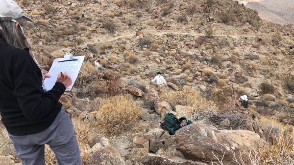 Scientists standing on a mountainside, gathering data