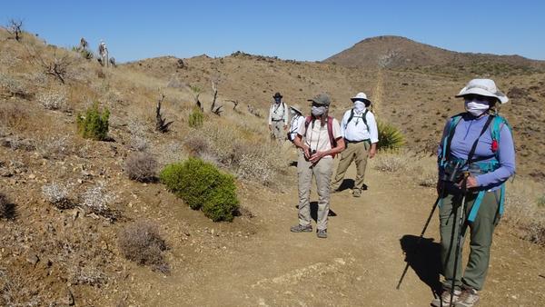 More socially distanced researchers, this time at the end of a trail