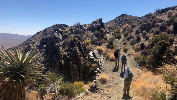 Socially distanced researchers on a hill in Joshua Tree 