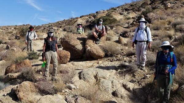 Community scientists standing in Joshua Tree