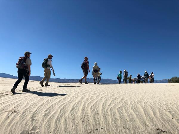 Community scientists trekking up a sand dune 