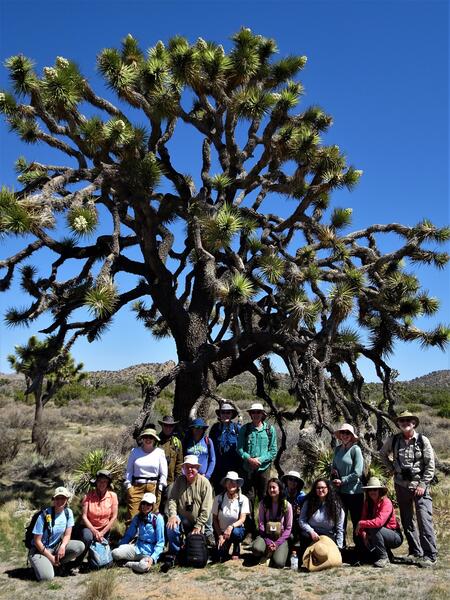 A group of community scientists posed in front of a Joshua tree