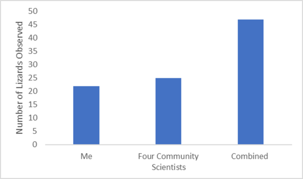 Another graph