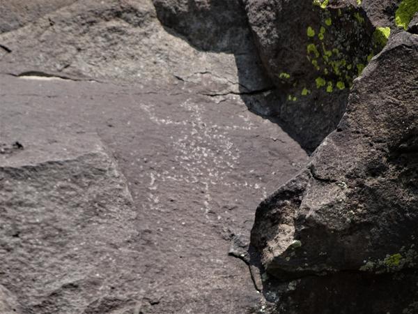 Petroglyph of a lizard on a grey rock 