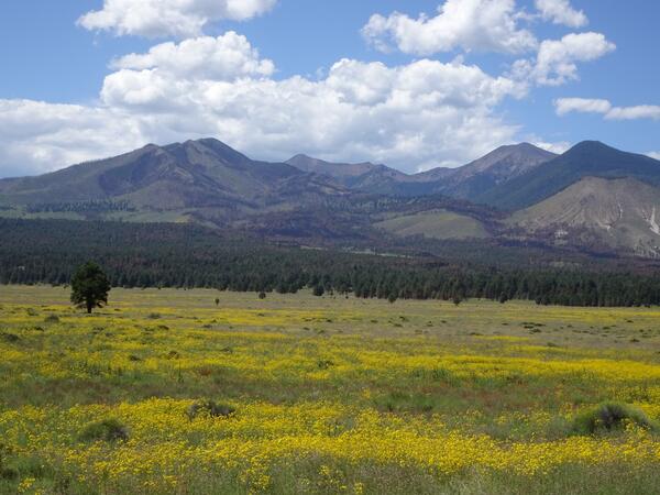 A mountainscape in the arid southwest