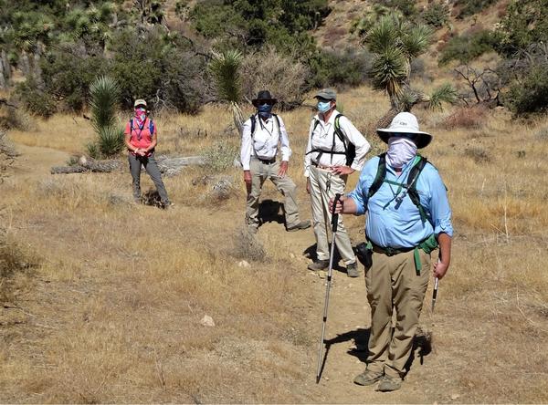 A group of masked community scientists