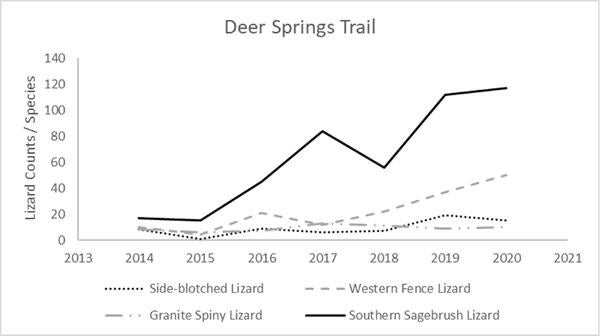 Graph of the lizard count on the Deer Springs Trail 