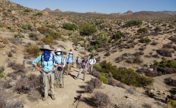 A group of masked hikers standing on the trail