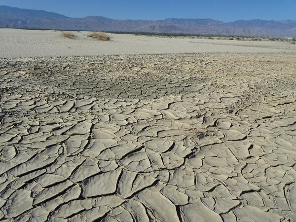 A basin of dried mud