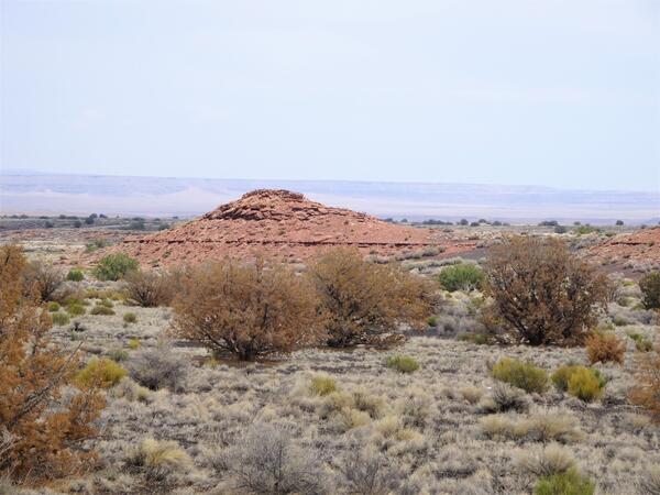 Arid desert landscape