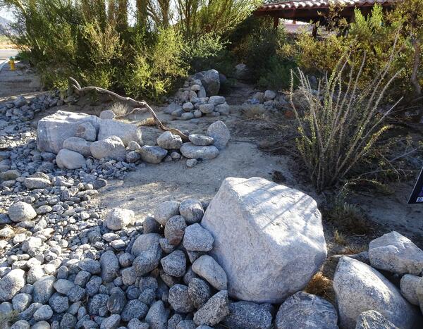 A wildlife garden, which has rock piles and desert plants