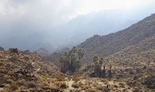 A desertscape that is foggy with a light rain