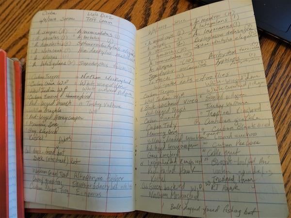 A look at some of the pages of a field notebook written in pencil 