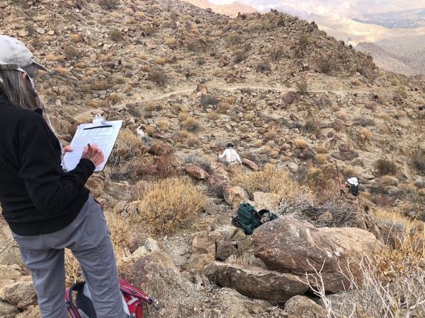 Scientists standing on a mountainside, gathering data