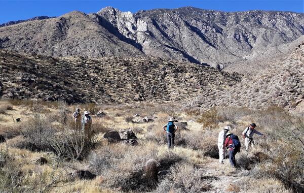 Scientists gathering data outside against a backdrop of beautiful mountains