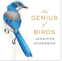 The Genius of Birds 