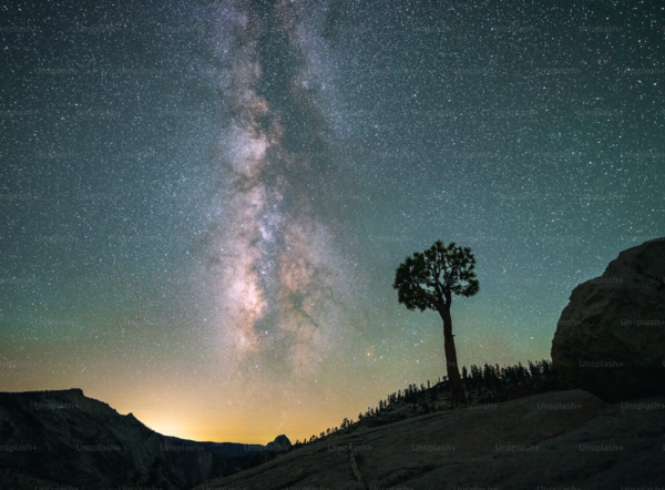 A starry sky over Joshua Tree 