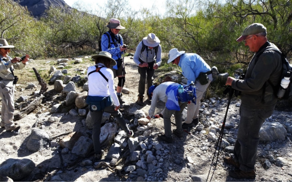 Community scientists in the field