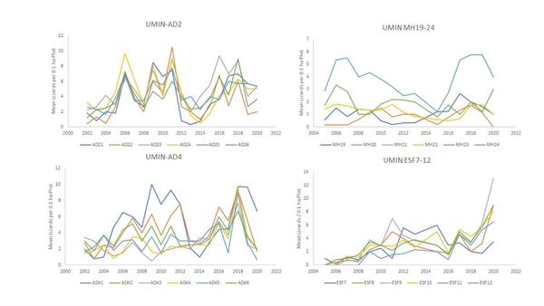 Graphs of fringe-toed lizard populations