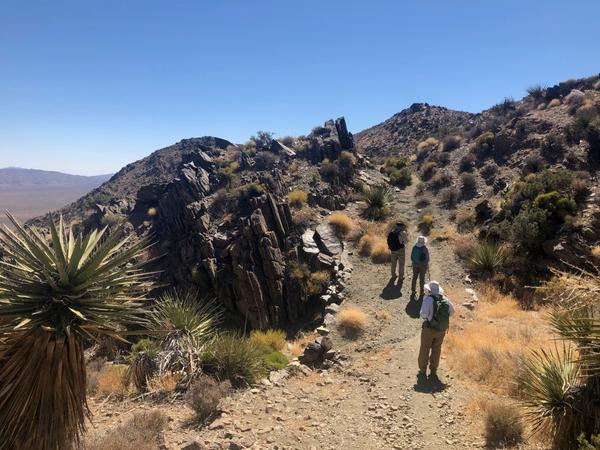 Socially distanced researchers on a hill in Joshua Tree 